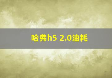 哈弗h5 2.0油耗